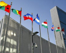 UN and national flags